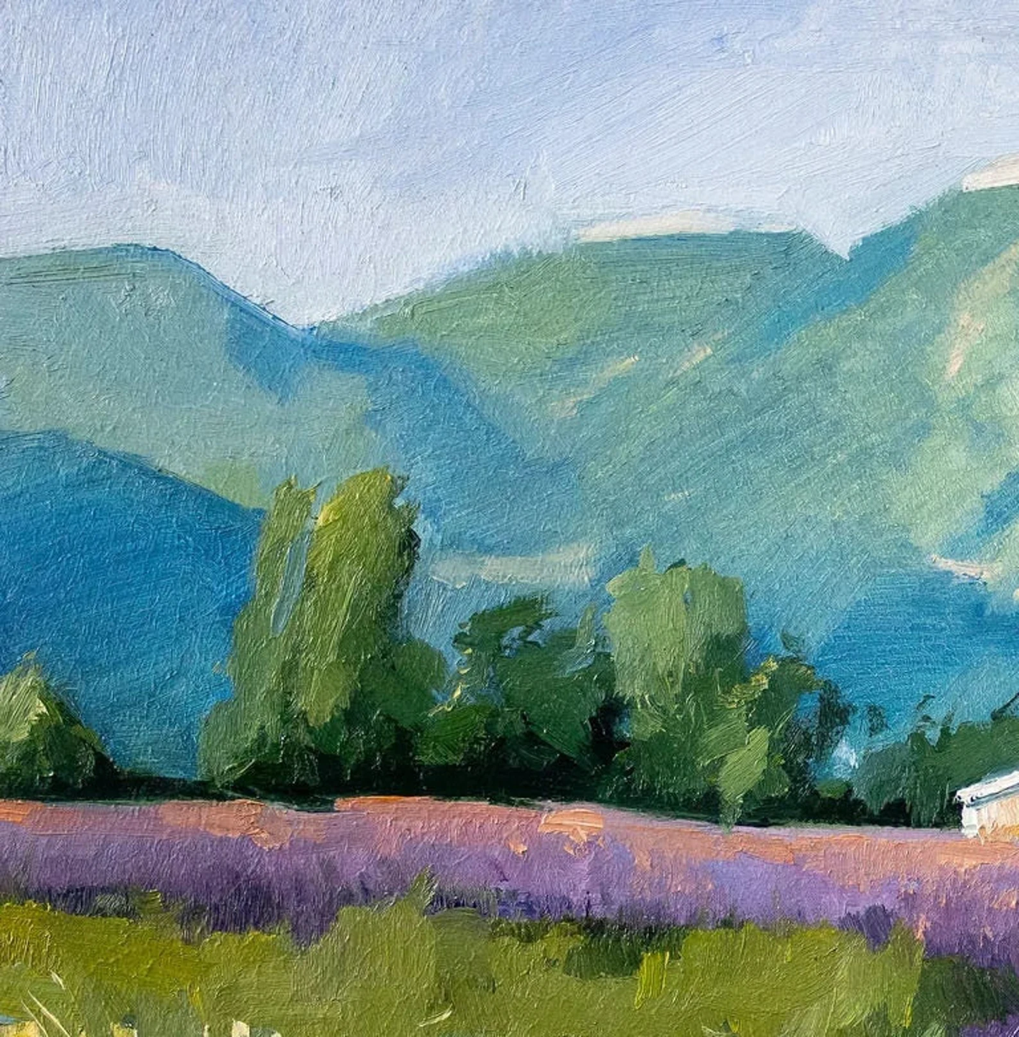 Custom oil painting from photo on canvas, landscape commission original oil painting on canvas, Art commission from photo, personalized gift